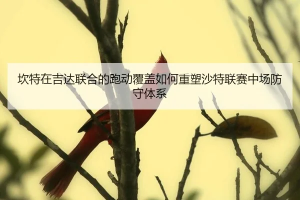 kan-te-zai-ji-da-lian-he-de-pao-dong-fu-gai-ru-he-zhong-su-sha-te-lian-sai-zhong-chang-fang-shou-ti-xi-2-771.jpg